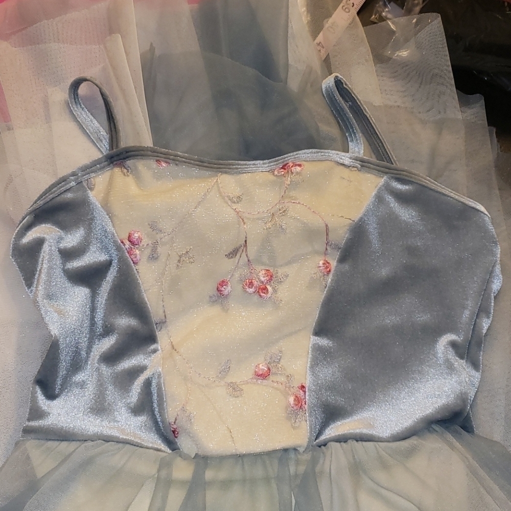 Curtain call leotard with skirt